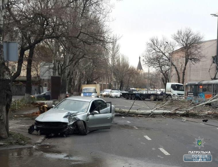 Пьяный водитель снес тополь, заблокировав движение на поселок Котовского в Одессе 