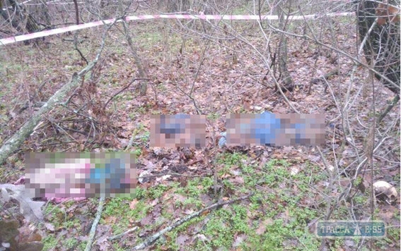 На севере Одесщины обнаружили скелеты пропавшей в марте женщины и ее двоих детей