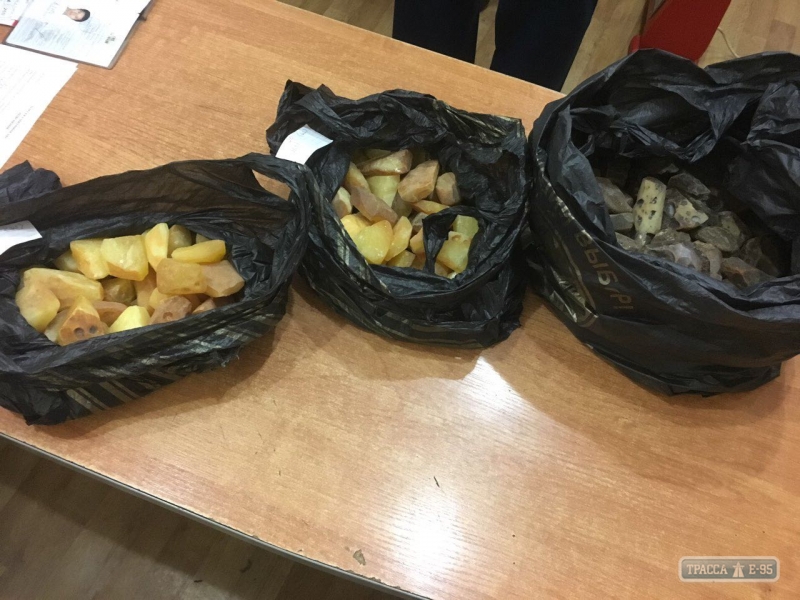 Пограничники задержали в Одесском аэропорту гражданина Китая, пытавшегося незаконно вывезти янтарь