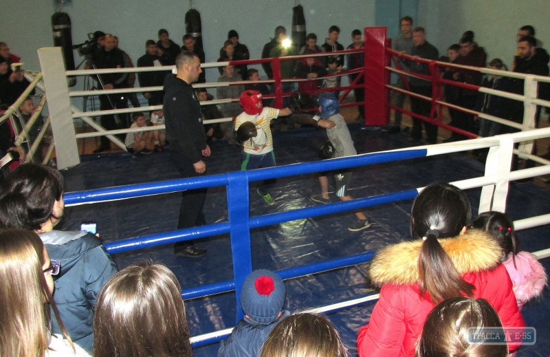 Предновогодний боксерский турнир среди школьников прошел в Любашевке