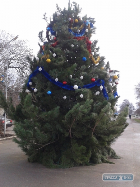 Власти Захаровки, опасаясь вандалов, украсили главную елку лишь наполовину (фото)