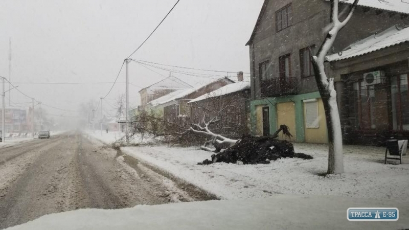 Полтысячи населенных пунктов Одесской области остались без электроэнергии из-за ливня и снегопада