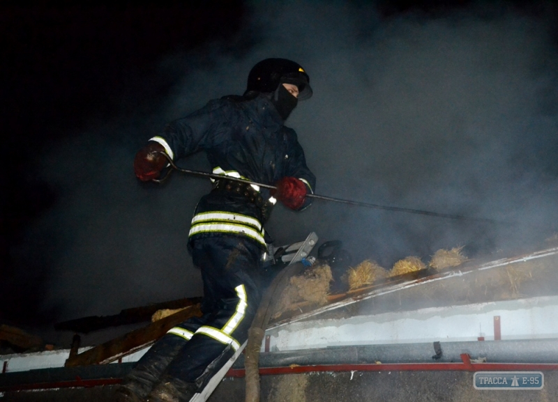 Полиция заинтересовалась происшествием со взрывом газового баллона на Одесщине