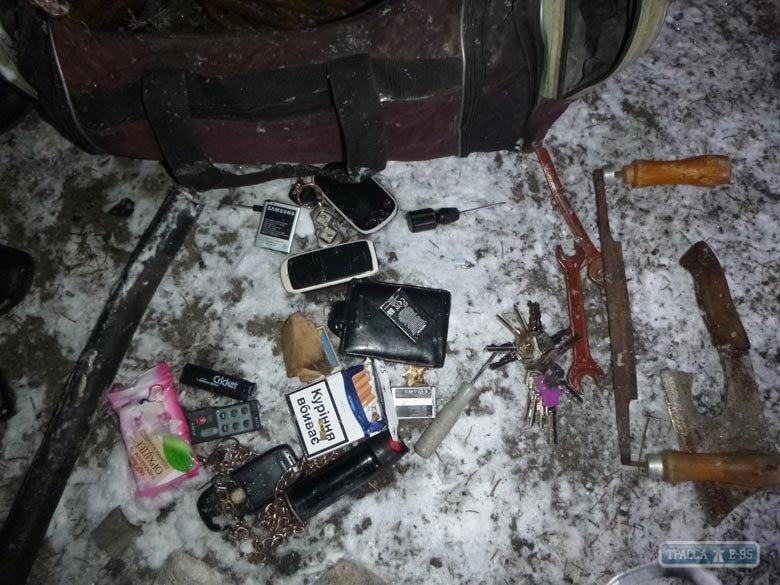 Полицейские на севере Одесщины задержали преступников на санках (фото)