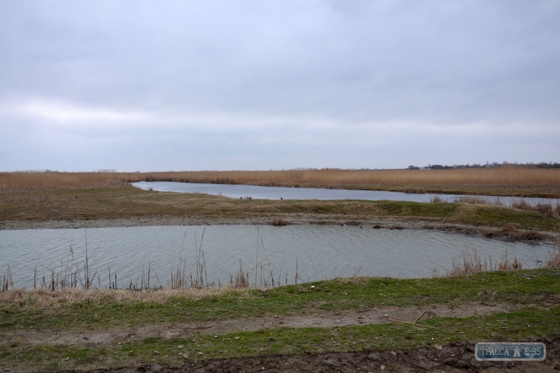 Придунайские озёра в Одесском регионе будут качественно наполнены речной водой