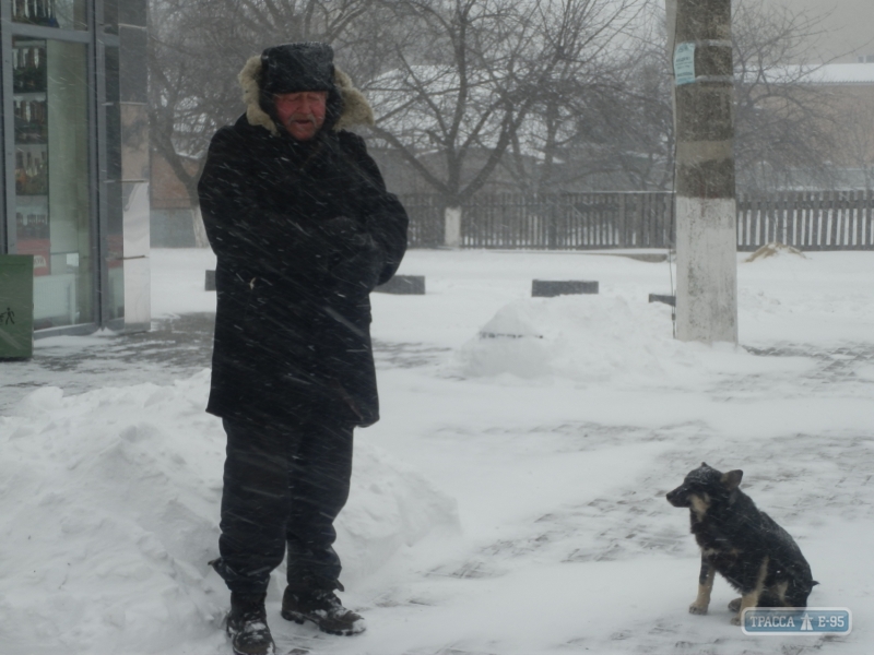 Кодымский район Одесщины засыпало снегом