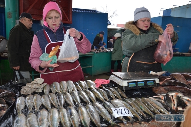 Дунайская сельдь появилась в Придунавье: рыбы мало и цены кусаются