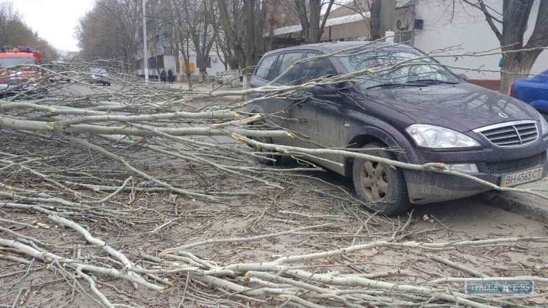 Трухлявое дерево повредило автомобиль в Измаиле
