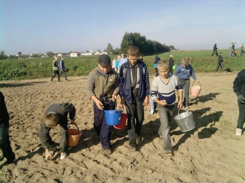 Директор школы в Одесской области отправил учеников работать в поле вместо уроков