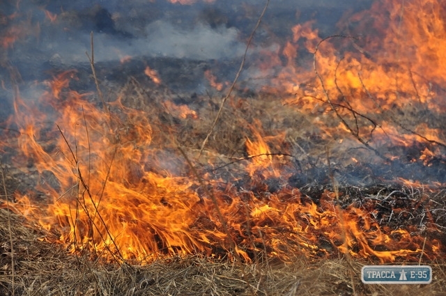 Десять пожаров в экосистемах Одесской области произошли за прошедшие сутки
