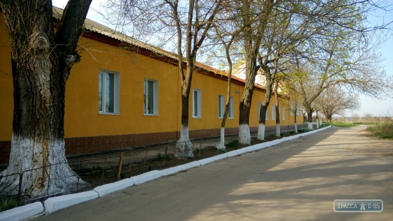 В одной из школ города Рени на юге Одесской области завелись змеи