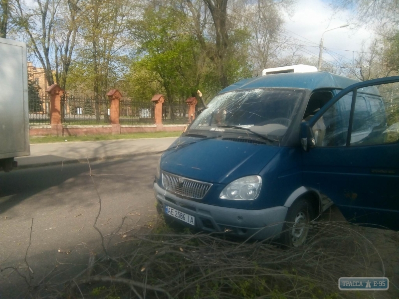 Упавшая ветка проткнула лобовое стекло автомобиля в Одессе