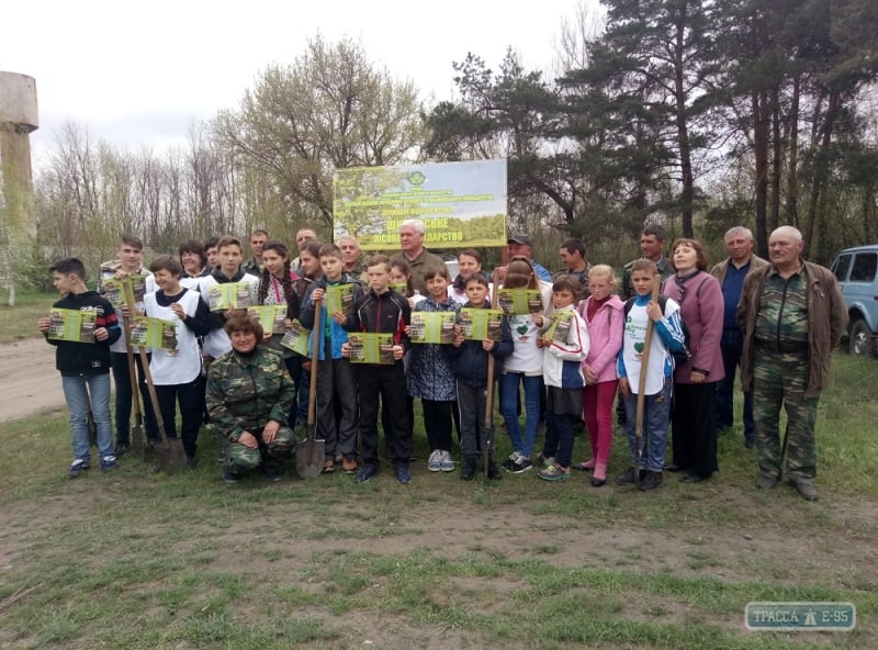 Ширяевский лесхоз высадил 2 тыс. деревьев в рамках месячника 