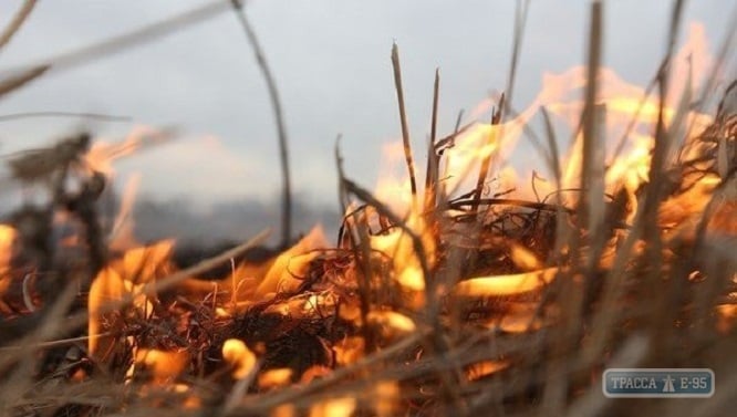 Спасатели предупреждают о высокой пожароопасности на территории Одесской области