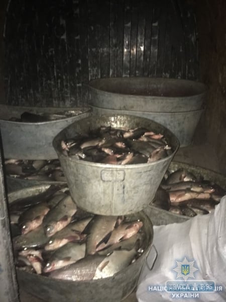 Полицейские Измаила задержали автомобиль с 4 центнерами рыбы и раков в период запрета лова