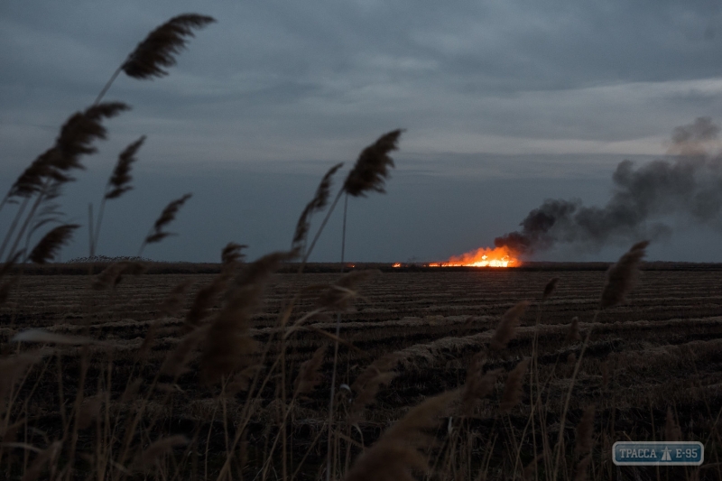 Высокая пожароопасность в Одесской области сохраняется из-за сухой погоды