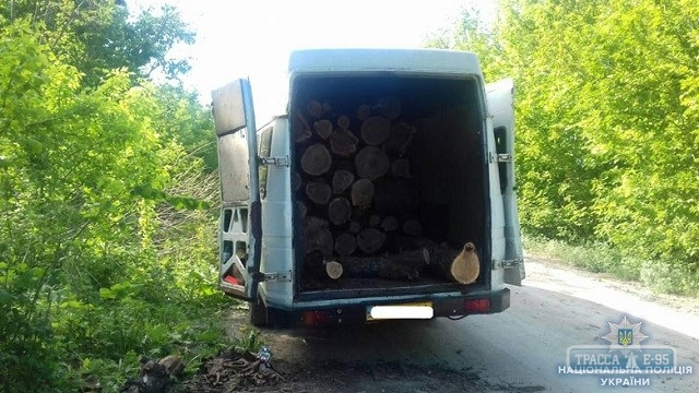Браконьеры рубили лес в Подольском районе