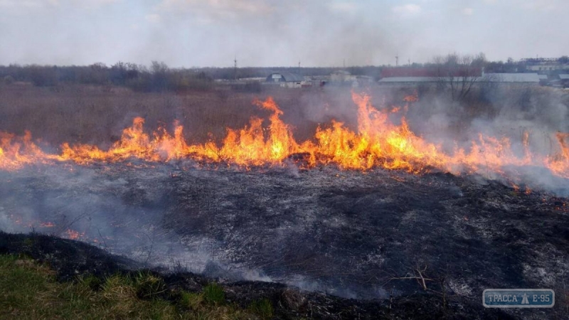 Свыше 20 гектаров сухостоя сгорели в Одесской области на майские праздники