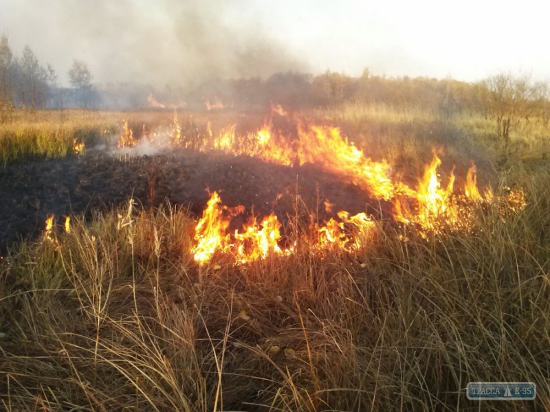Огонь уничтожил 6,5 га растительности в Раздельнянском районе