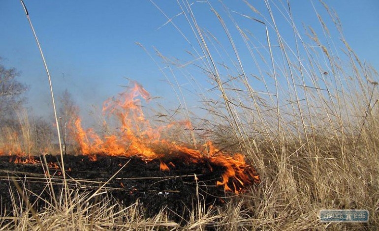 Спасатели предупреждают о высоком уровне пожароопасности в Одесской области