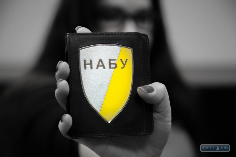Два одесских активиста прошли в общественный совет при НАБУ, Стерненко – не прошел