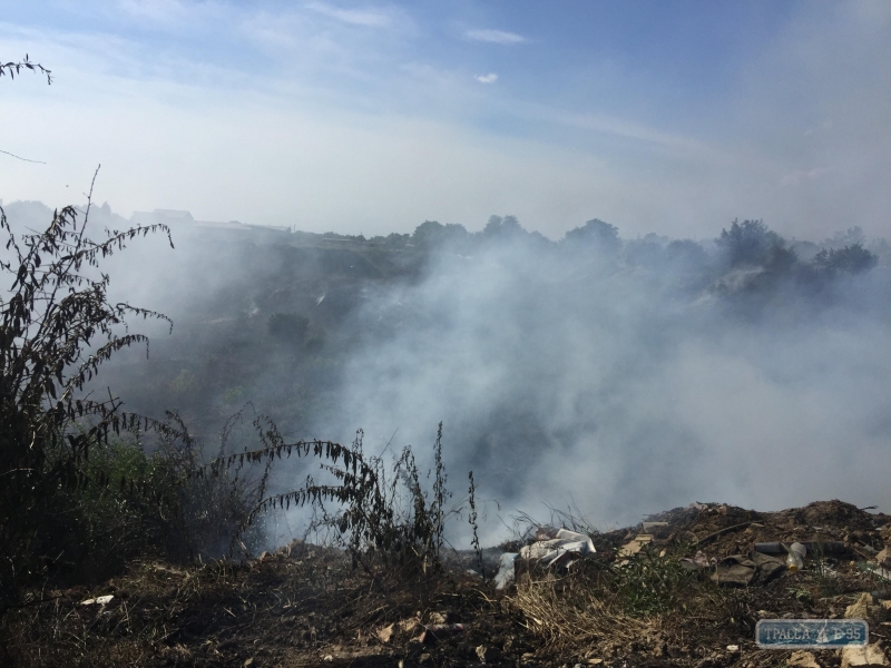 Спасатели полдня тушили пожар в заброшенном карьере в Измаиле, задымивший жилой квартал (фото,видео)