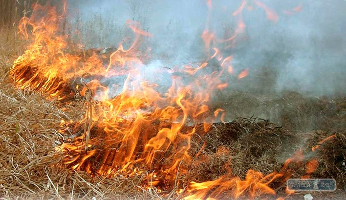 Спасатели Одесской области за сутки ликвидировали 16 возгораний сухой травы и камыша