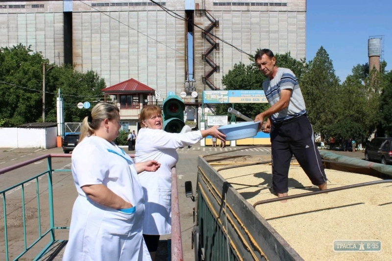 Самый большой элеватор в Одесской области принял первые тонны зерна нового урожая