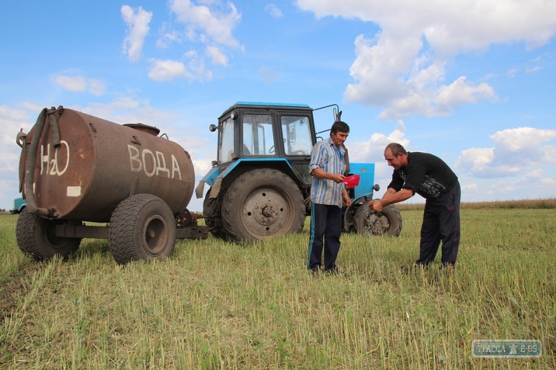 Одесская область уже собрала 53 тысячи тонн зерна