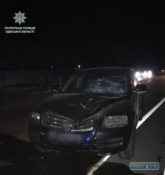 Пешеход погиб в ночном ДТП на трассе Одесса-Черноморск