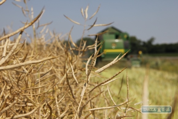 Конфликт между аграриями на севере Одесской области: стороны обвиняли друг друга в захвате земель