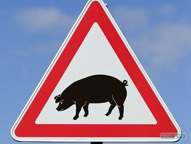 Одесская область компенсирует убытки населению от африканской чумы свиней 