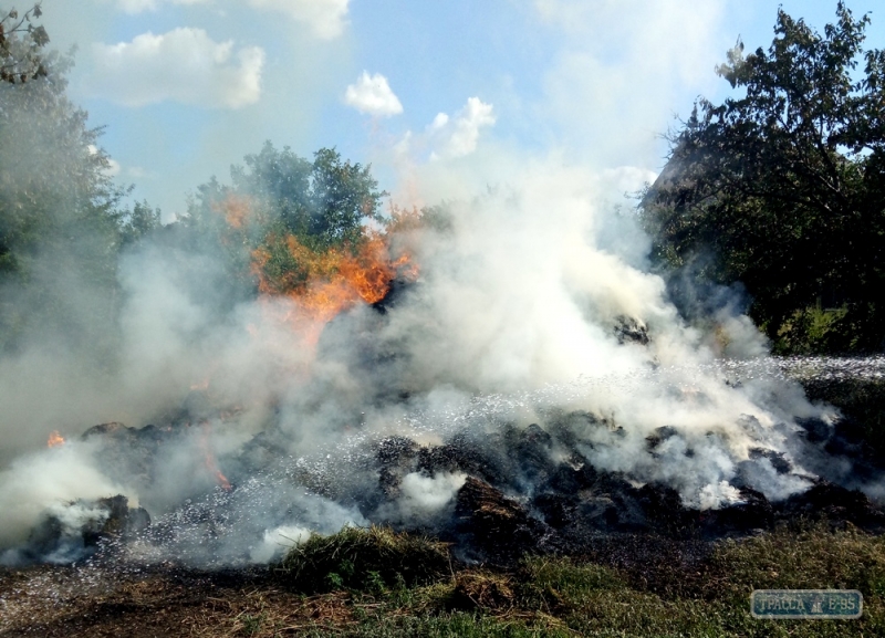 Почти три десятка пожаров вспыхнули на природе в Одесской области за сутки