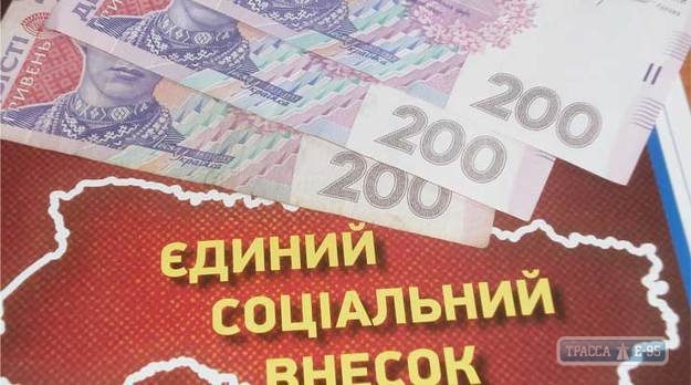 Аграрии-упрощенцы Одесской области заплатили в первом полугодии на 22% больше налога