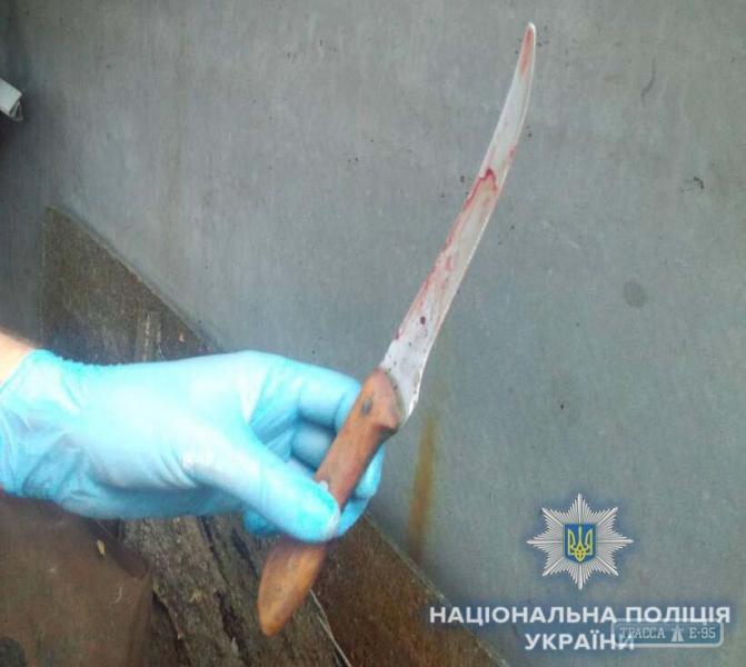 Полиция задержала бездомного, напавшего с ножом на пенсионерку на юге Одесщины
