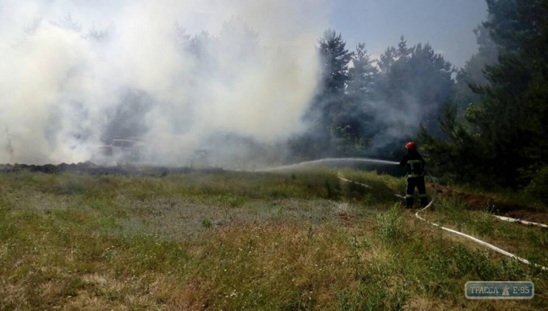 Четыре тонны сена сгорело из-за детской шалости с огнем в Любашевском районе