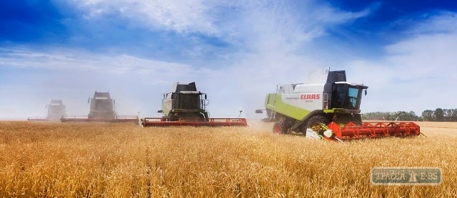 Аграрии Одесской области по-прежнему в лидерах по сбору урожая 