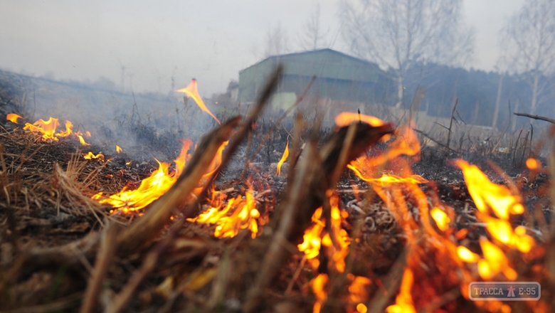 Чрезвычайная пожароопасность объявлена в Одесской области 