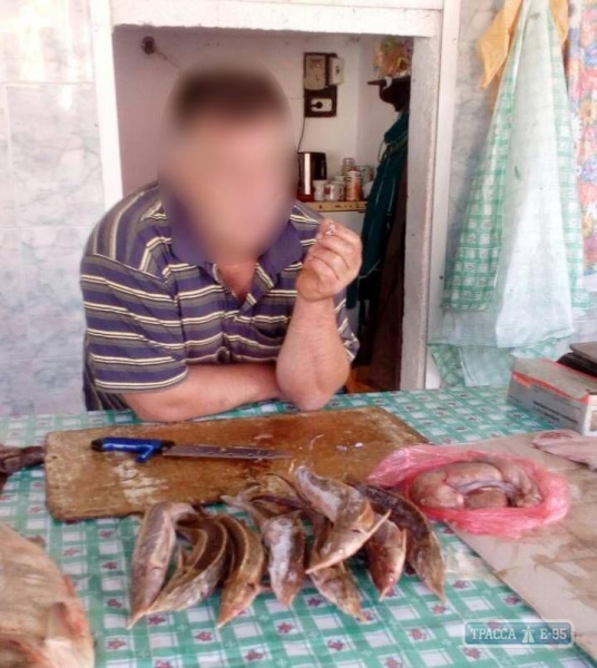Реакция населения помогла разоблачить нарушителя, продававшего рыбу из Красной книги на юге Одесщины