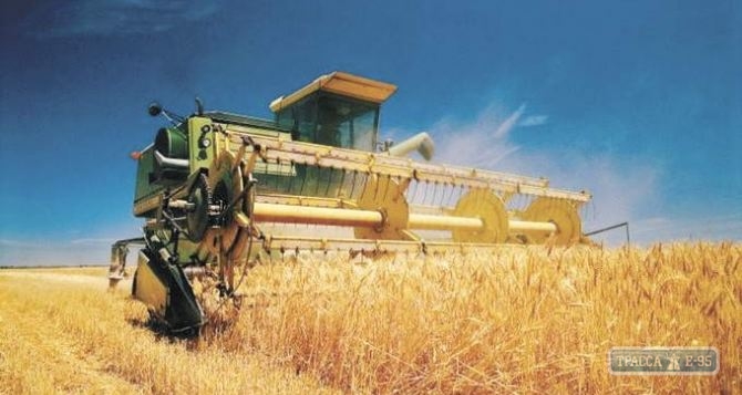 Кулиндоровский хлебокомбинат на Одесщине принял на хранение 40 тыс. тонн зерна нового урожая