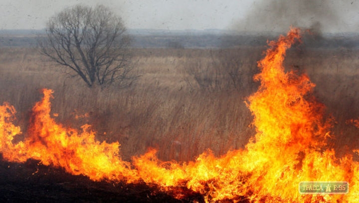 Пожары в Одесской области уничтожили более 13 га растительности за сутки