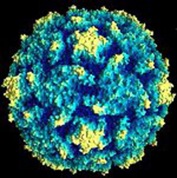 СЭС пугает одесситов полиомиелитом и призывает делать прививки