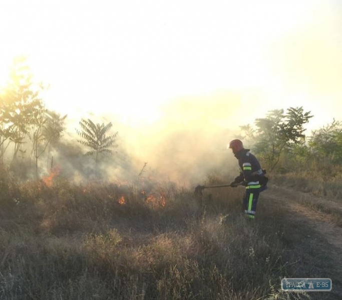Спасатели Одесской области ликвидировали 34 пожара в экосистемах за последние сутки