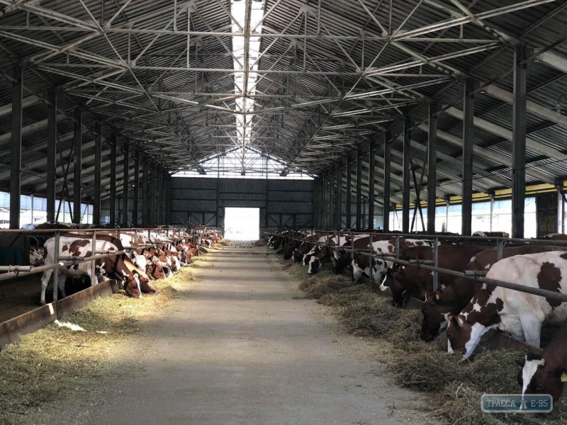 Рабочие намерены завершить реконструкцию молочной фермы в Овидиопольском районе до конца года