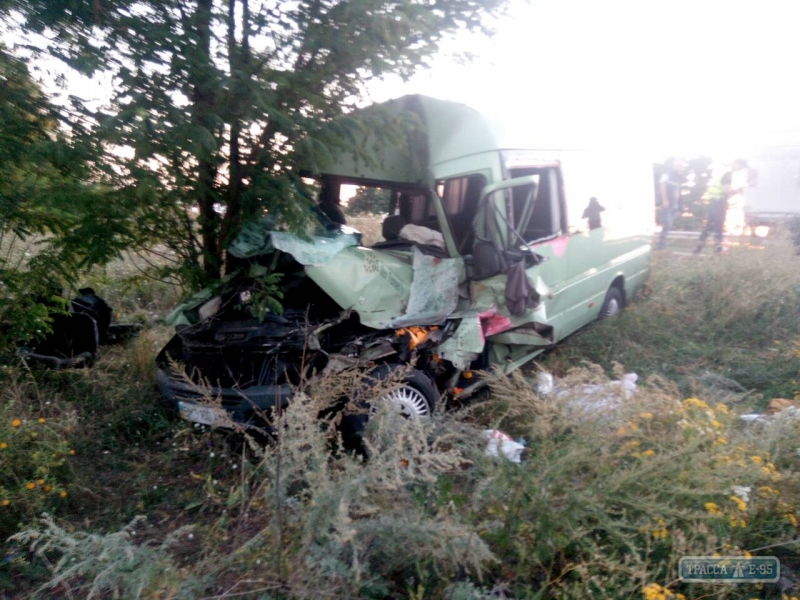 Микроавтобус столкнулся с грузовиком на трассе Киев-Одесса: есть погибшие