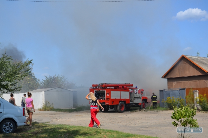 Огнеборцы Измаила на юге Одесщины потушили масштабный пожар в заводском карьере