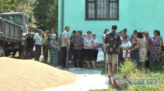 Собственники паев на севере Одесской области взбунтовались из-за испорченного зерна