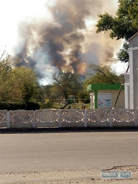 Лесной пожар произошел в Одесской области (фото)
