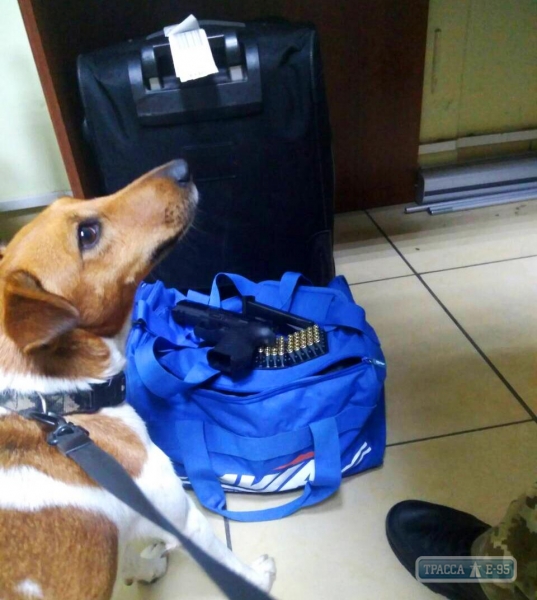 В Одесском аэропорту пограничный пес унюхал в багаже гражданина Израиля оружие