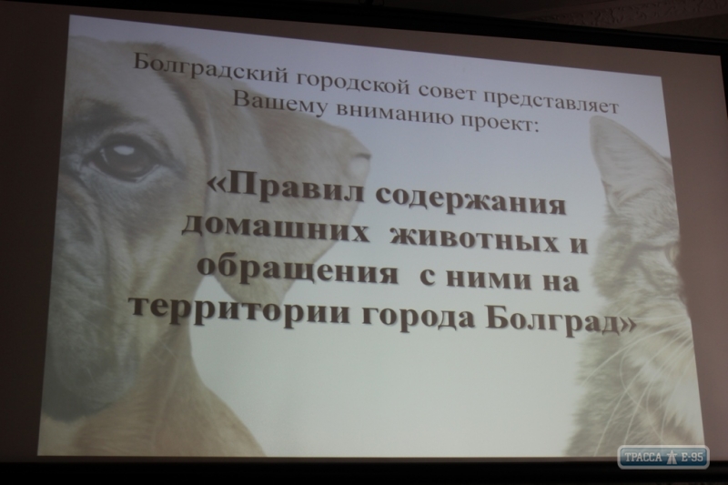 Жители Болграда внесли коррективы в проект Правил содержания домашних животных